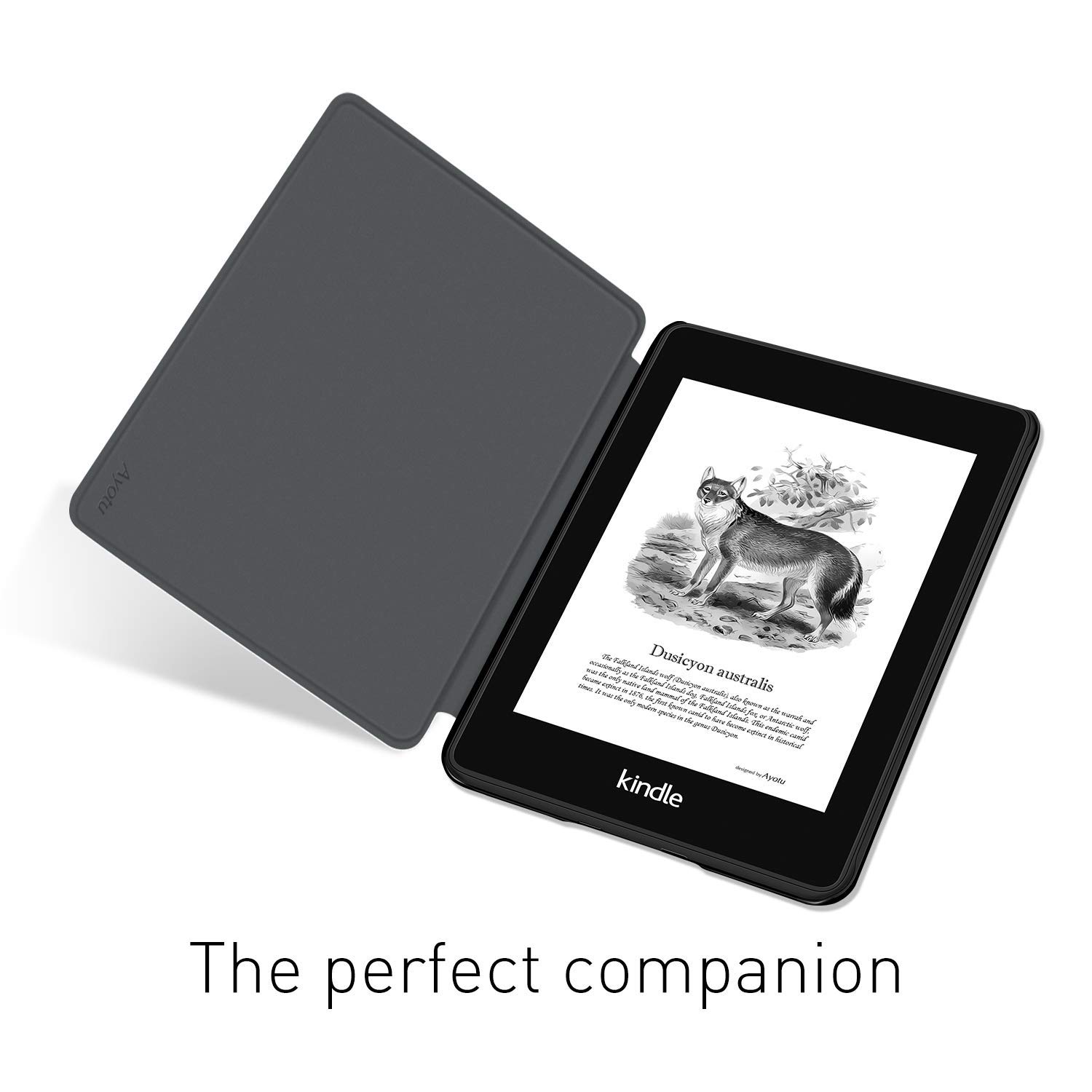 For Kindle Paperwhite 5/6/7th  - Kindle Tablet Accessories บทวิจารณ์และราคา
